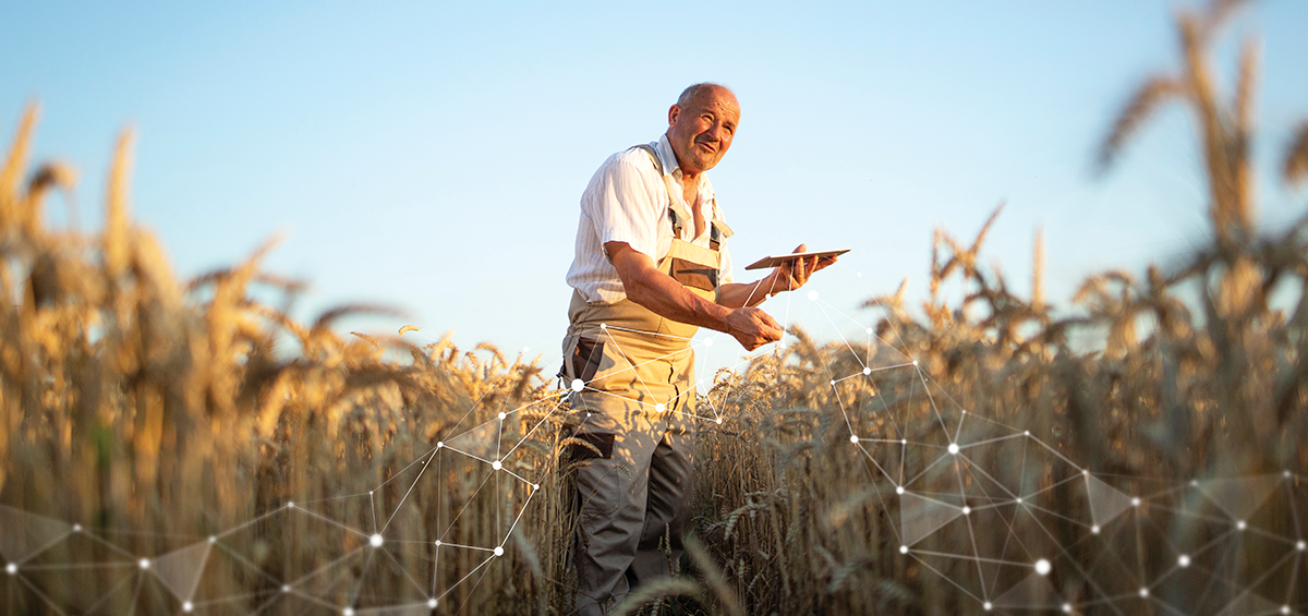 5 Essential Tips for Successful Agromarine Business